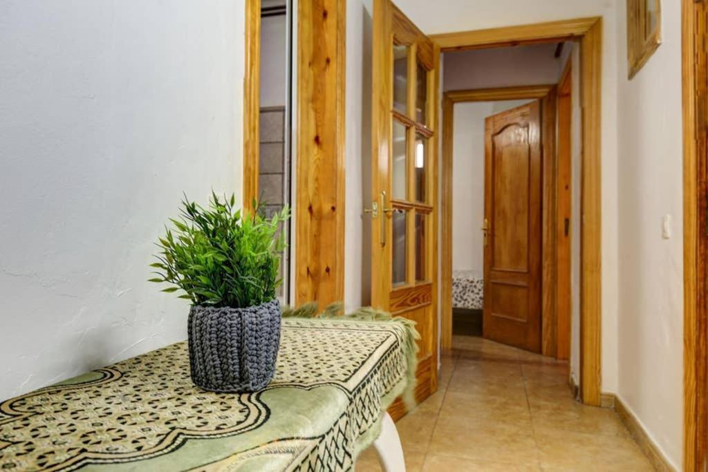 7 Pax Montserrat Ramblas Barcelona Βαρκελώνη Εξωτερικό φωτογραφία